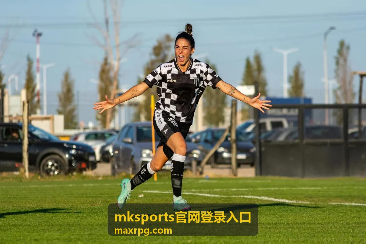 mksports官网登录入口登录前安全核对说明图